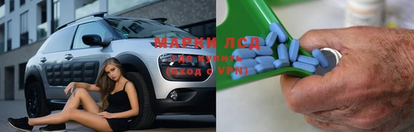 сатива Касимов