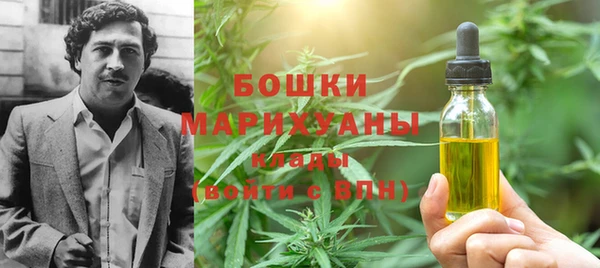 сатива Касимов