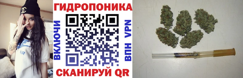 Купить закладки  Аткарск  Бошки марихуана Amnesia 